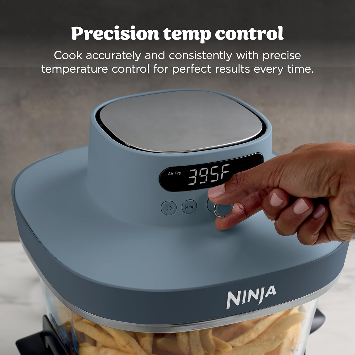 Ninja Crispi Pro 6-in-1 glazen - Deep Fryer Commercial recensie en prijs